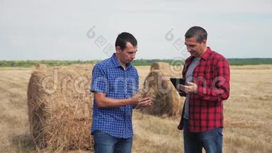 团队农业智慧农业理念.. 两名农民工人在数字平板电脑上研究干草堆